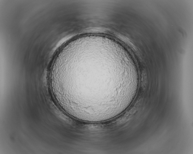 X0000112911404200909141241