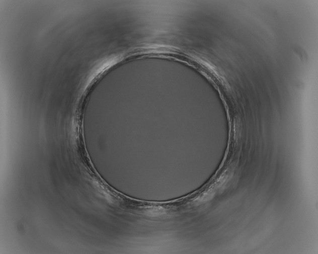 X0000112911405200909141241