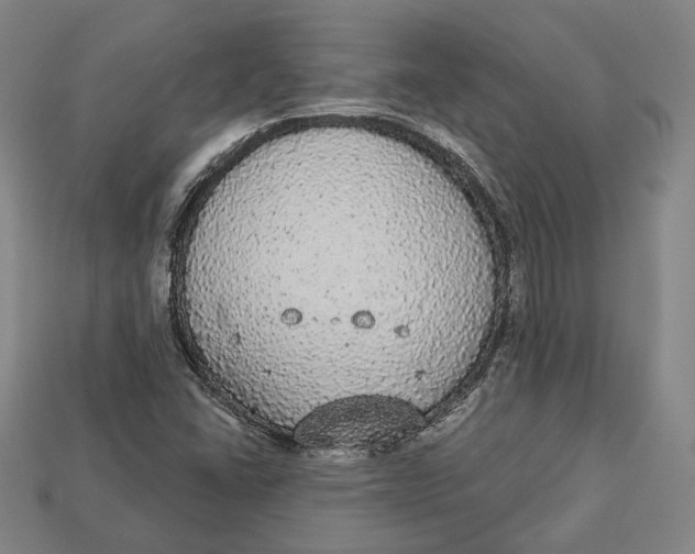 X0000112911406200909141241