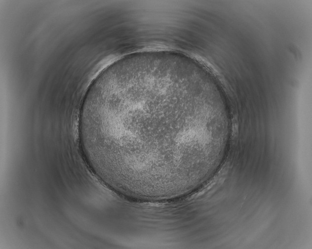 X0000112911409200909141241