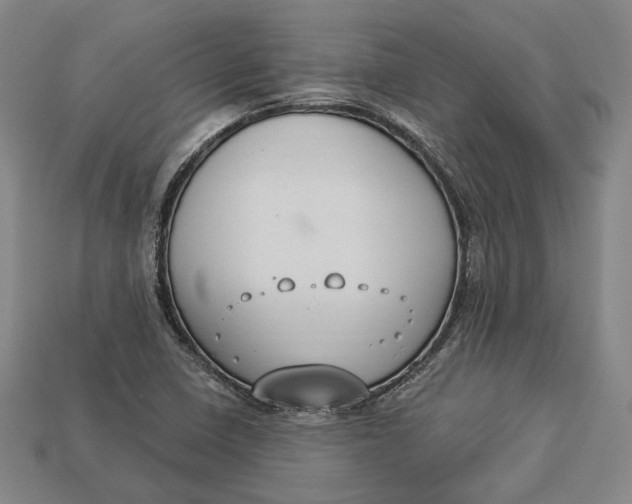 X0000112911410200909141241