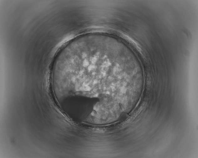 X0000112911411200909141241