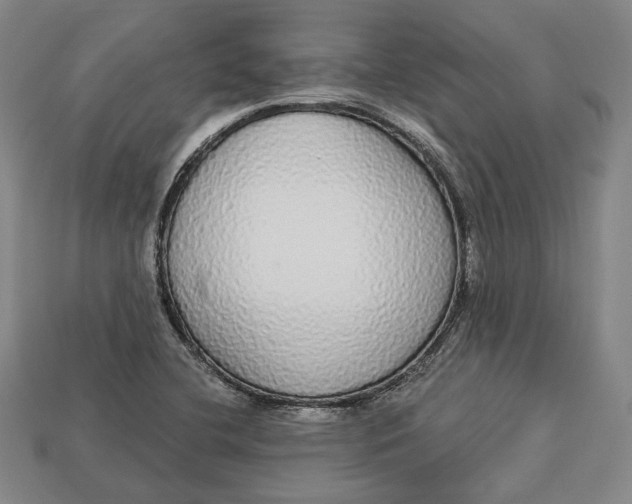 X0000112911412200909141241