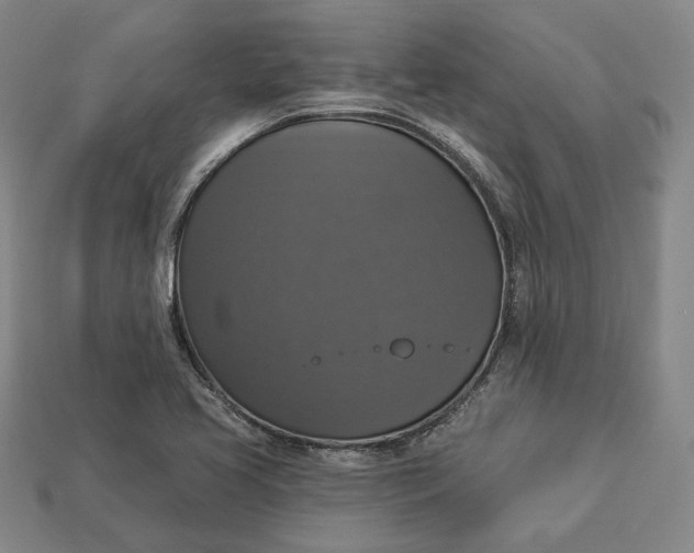 X0000112911413200909141241