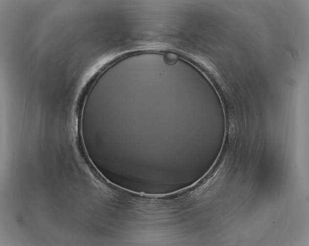 X0000112911414200909141241