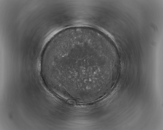 X0000112911415200909141241