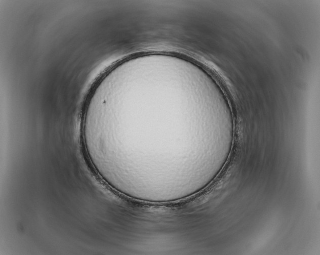 X0000112911416200909141241