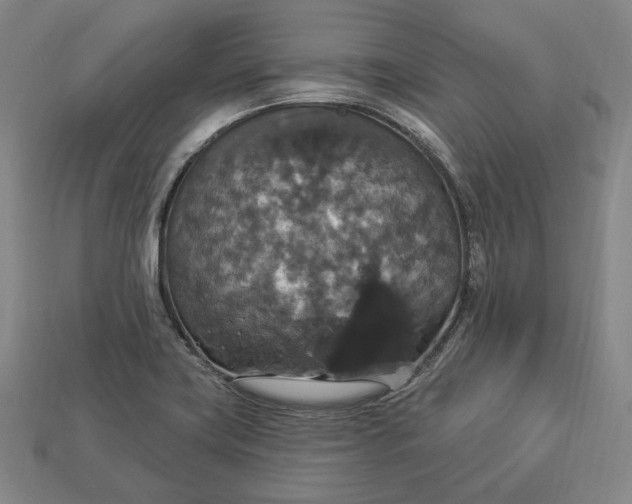 X0000112911419200909141241