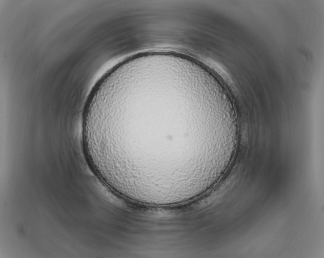 X0000112911420200909141241