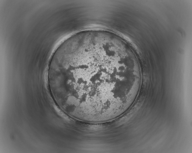 X0000112911421200909141241