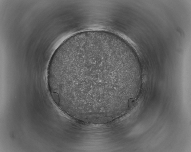 X0000112911423200909141241