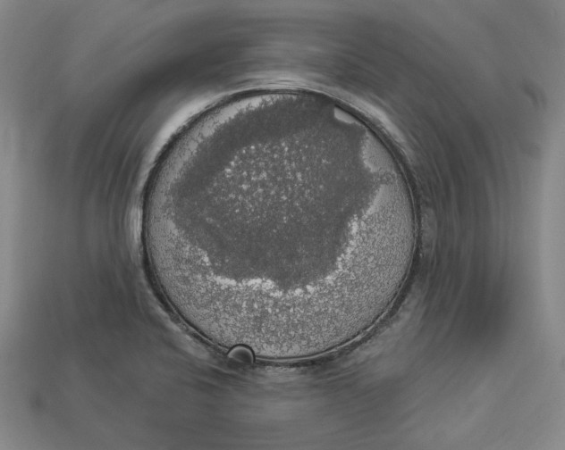 X0000112911424200909141241