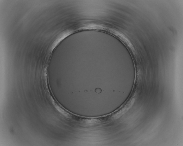 X0000112911425200909141241