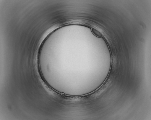 X0000112911426200909141241