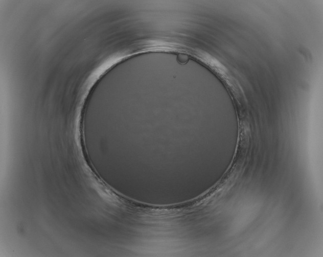 X0000112911427200909141241