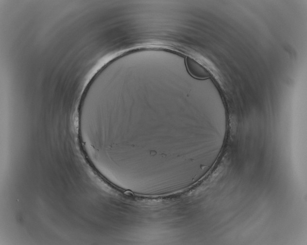 X0000112911428200909141241