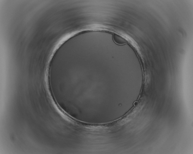 X0000112911429200909141241