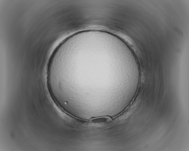 X0000112911430200909141241