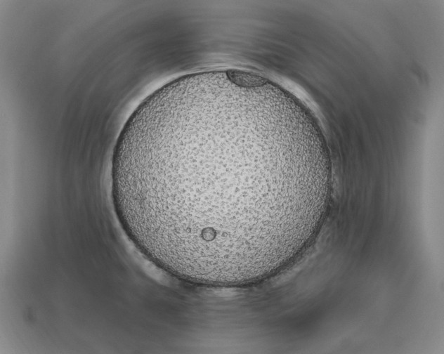 X0000112911431200909141241