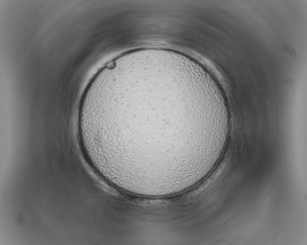 X0000112911432200909141241