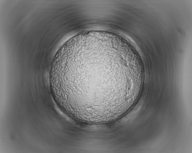 X0000112911433200909141241