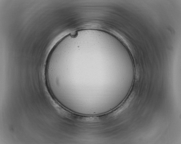 X0000112911434200909141241