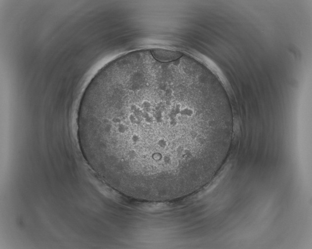 X0000112911435200909141241