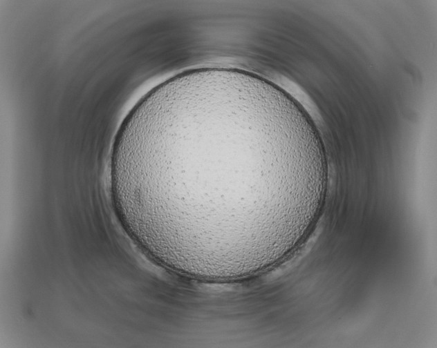 X0000112911436200909141241