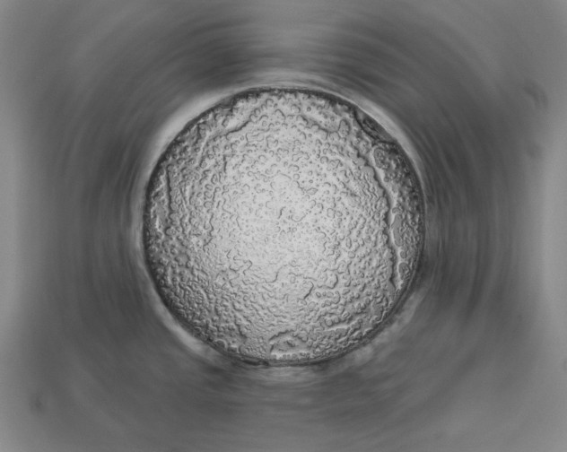 X0000112911437200909141242