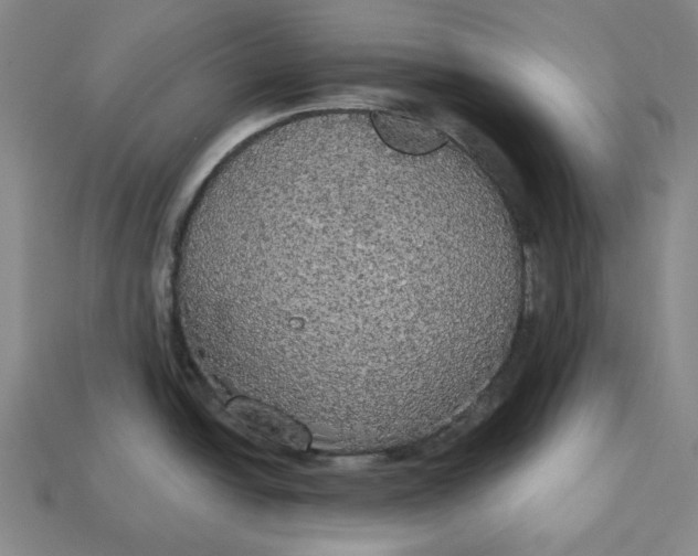 X0000112911438200909141242