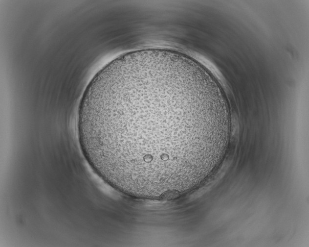 X0000112911439200909141242