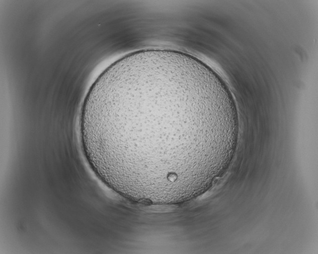 X0000112911440200909141242