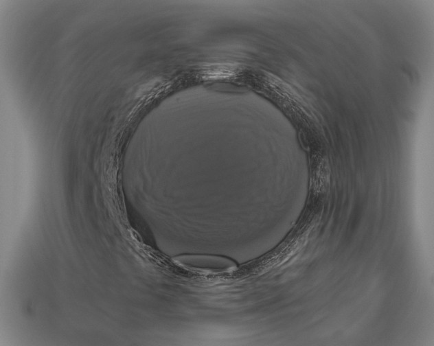 X0000112911441200909141241