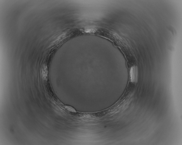 X0000112911443200909141241