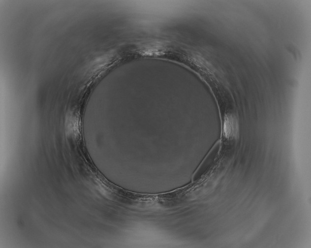 X0000112911444200909141241