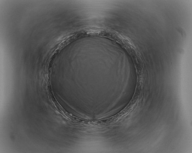 X0000112911445200909141241