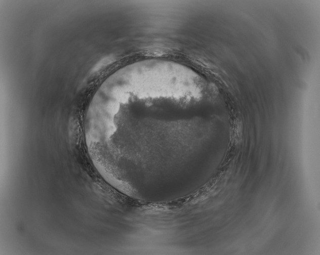 X0000112911446200909141241