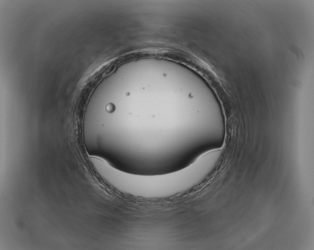 X0000112911448200909141241