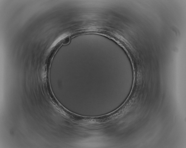 X0000112911450200909141241