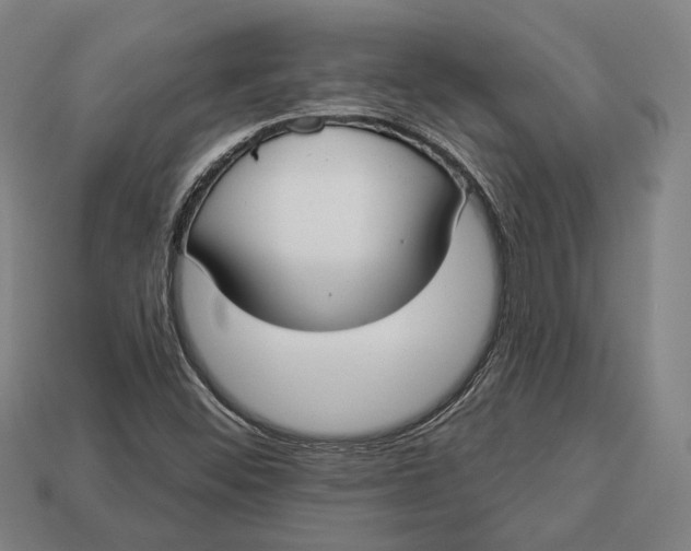 X0000112911452200909141241