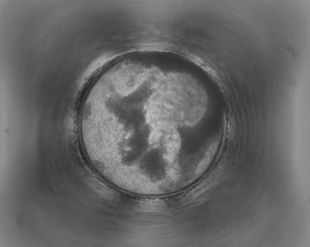 X0000112911454200909141241