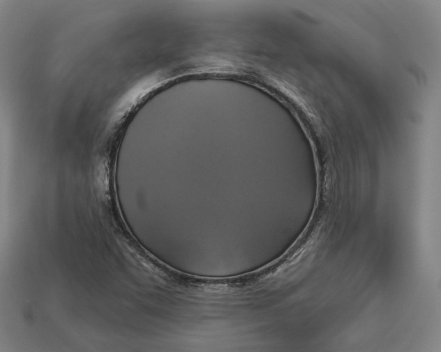 X0000112911455200909141241