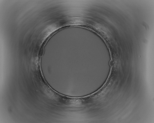 X0000112911457200909141241