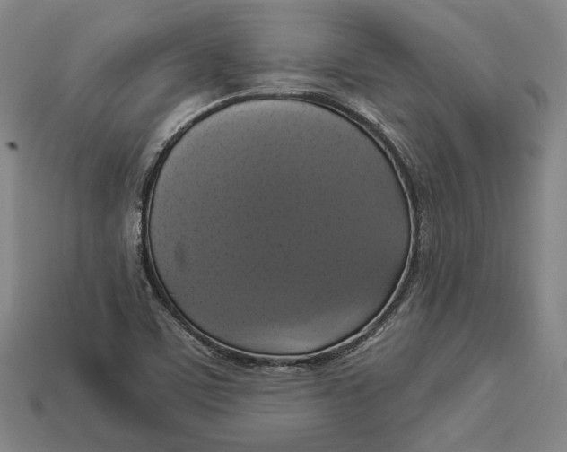 X0000112911459200909141241