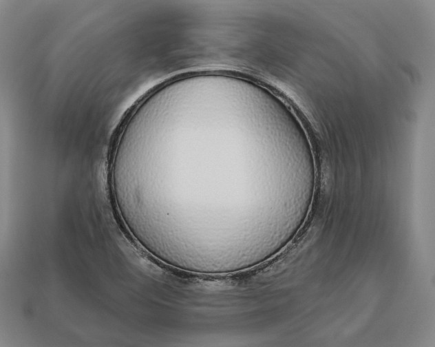 X0000112911460200909141241