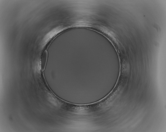 X0000112911461200909141241