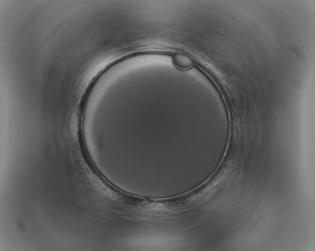 X0000112911463200909141241