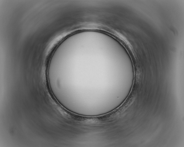 X0000112911464200909141241