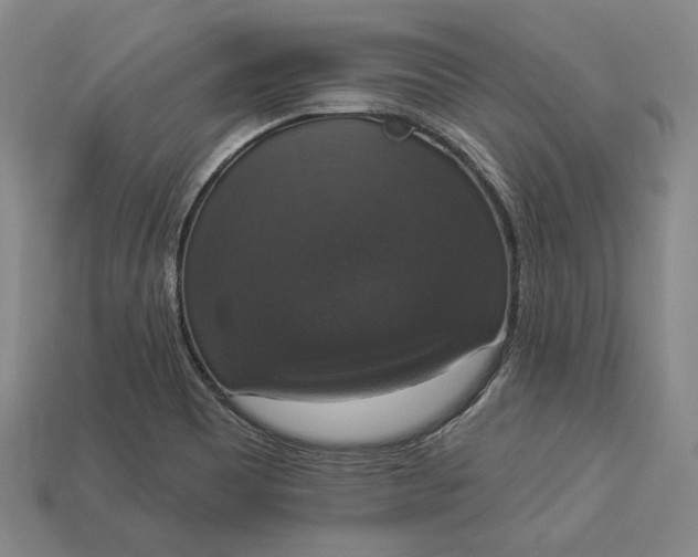 X0000112911465200909141241