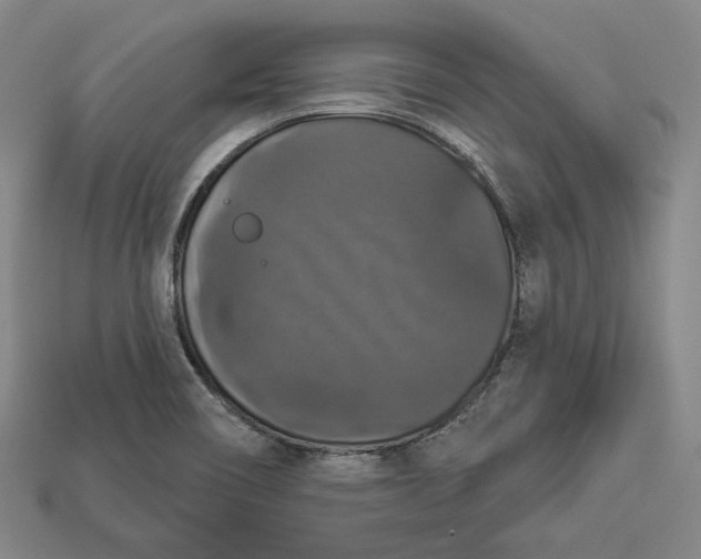 X0000112911466200909141241